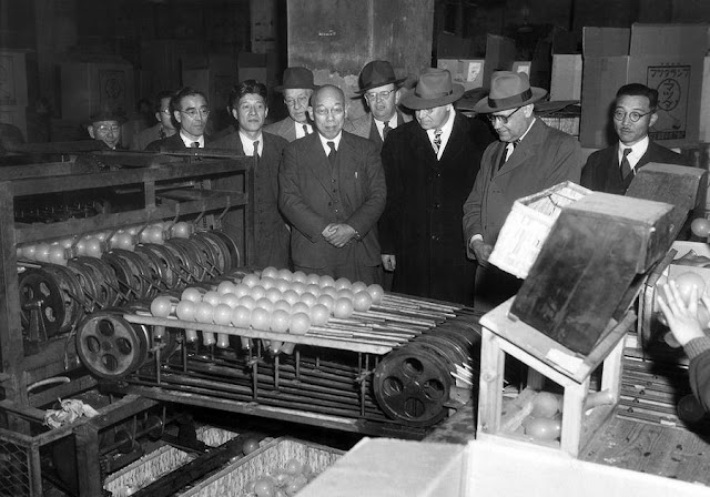Trong nhà máy sản xuất bóng đèn Tokyo Shibaura Electric Co ngày 25-1-1951