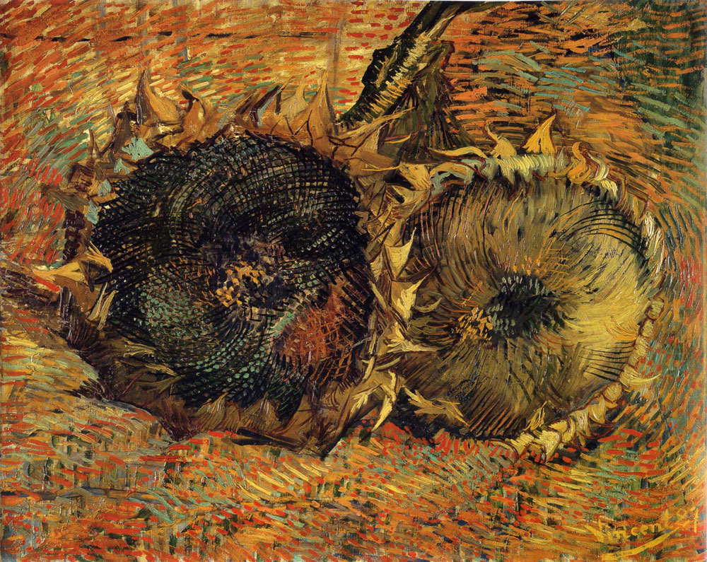 Van Gogh znany czy nieznany? Obrazy