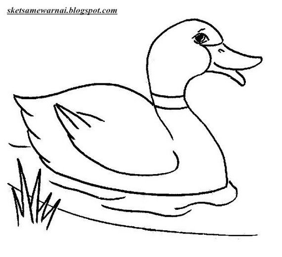 Download Mewarnai Gambar Pelampung Bebek
