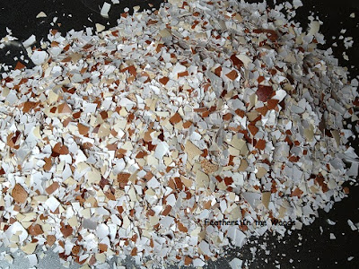 eggshells, dried and crumbled ready for use in the garden
