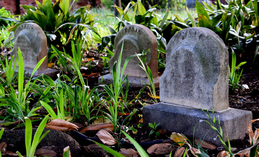 Photography Workshop at Historic Oakland Cemetery | Photo: Travis S. Taylor