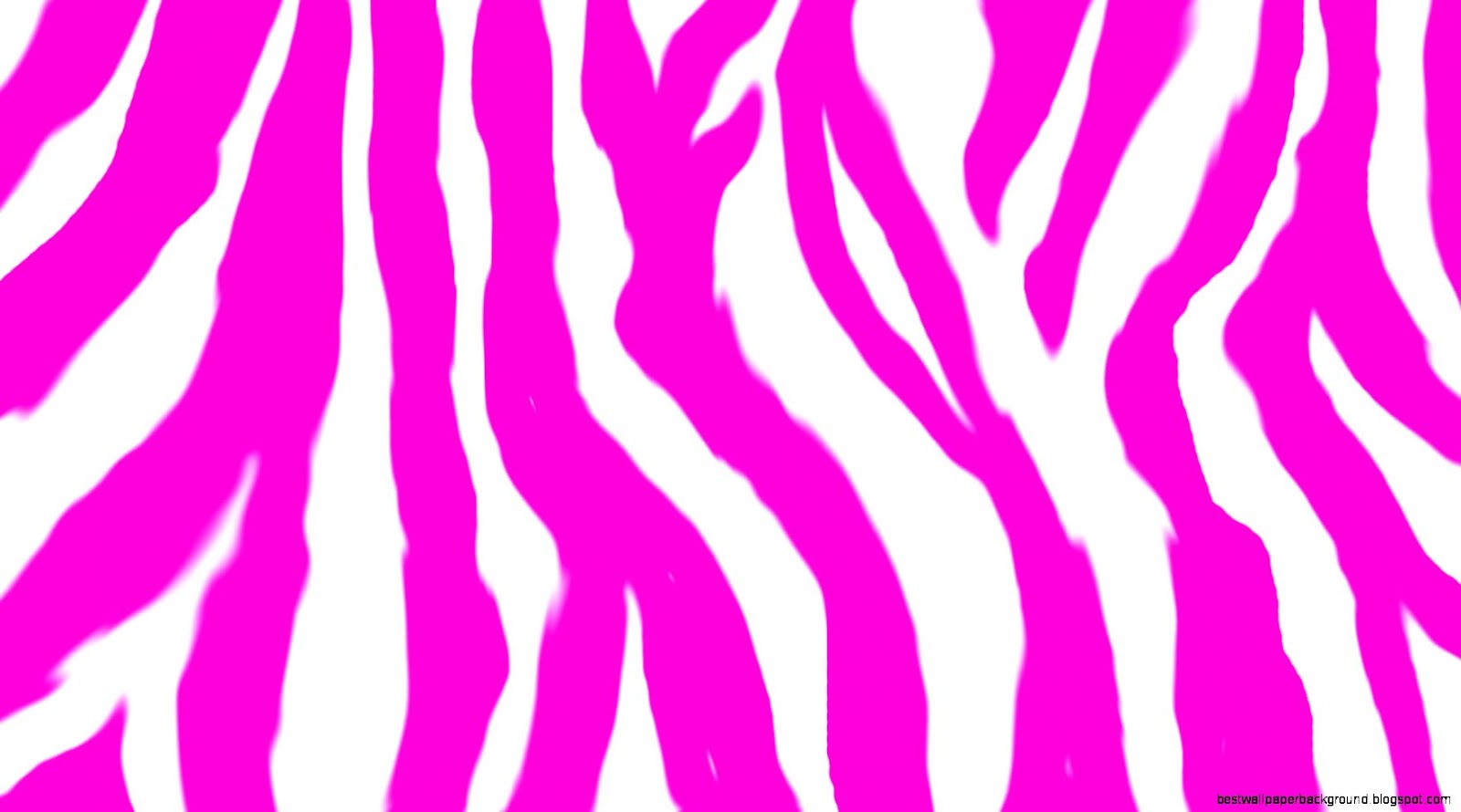 Neon Pink Zebra Print
