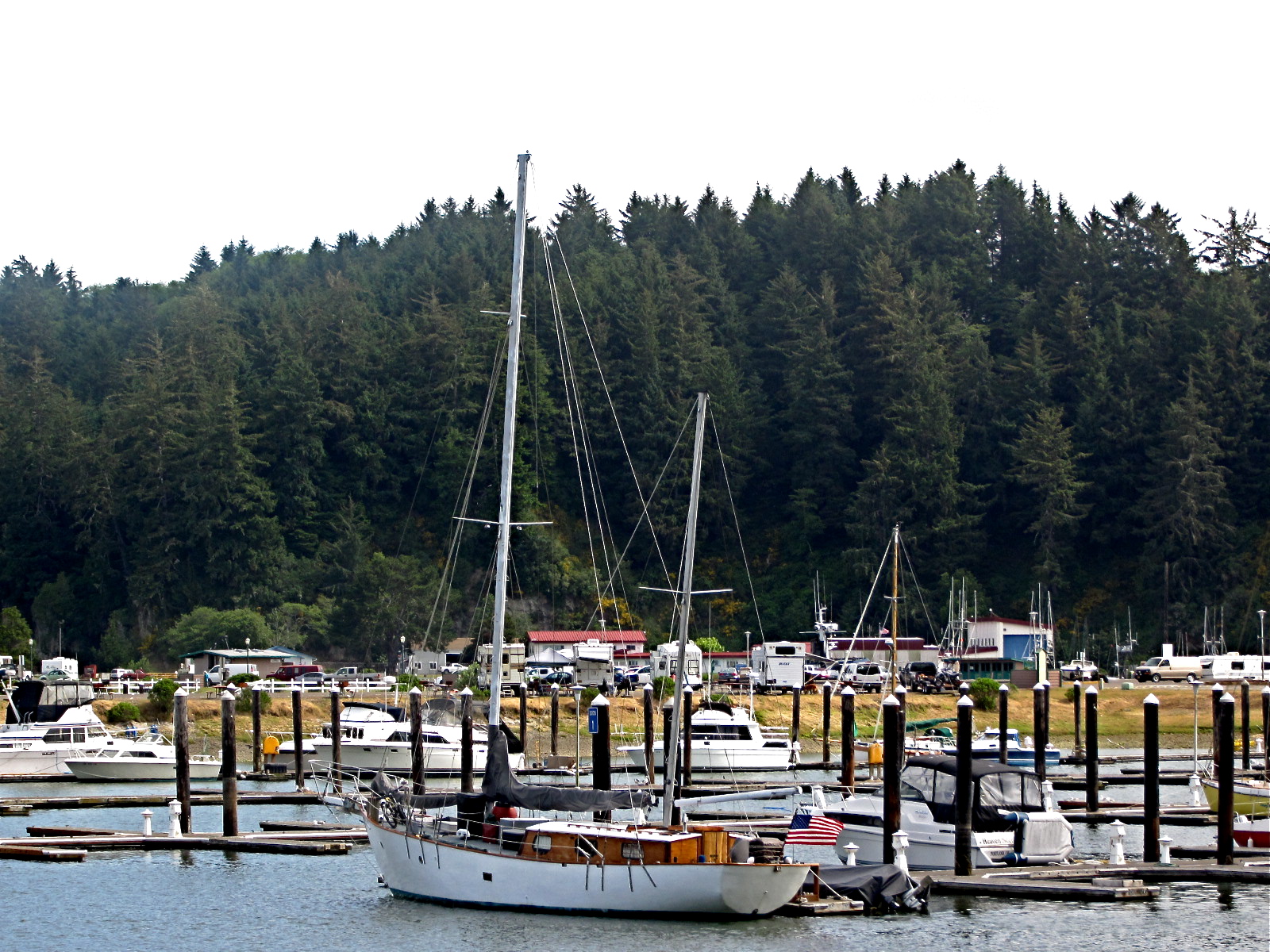 Travel With Whippets Winchester Bay, Oregon + Umpqua Lighthouse