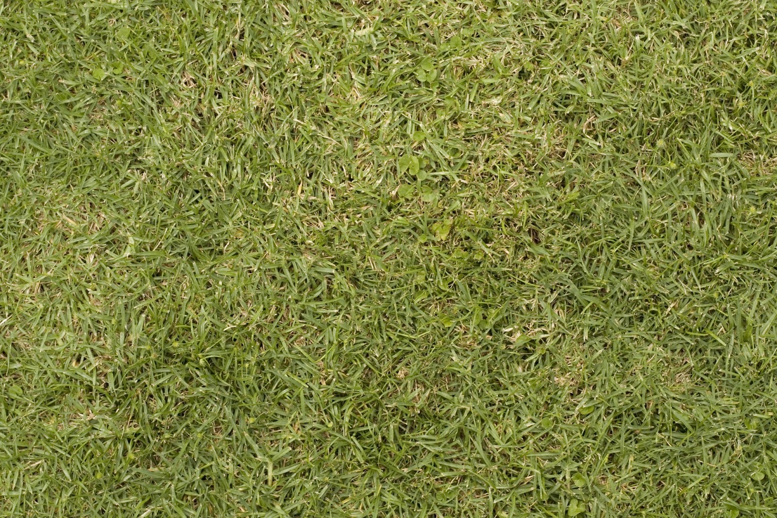 Mar Vieyra: TEXTURAS