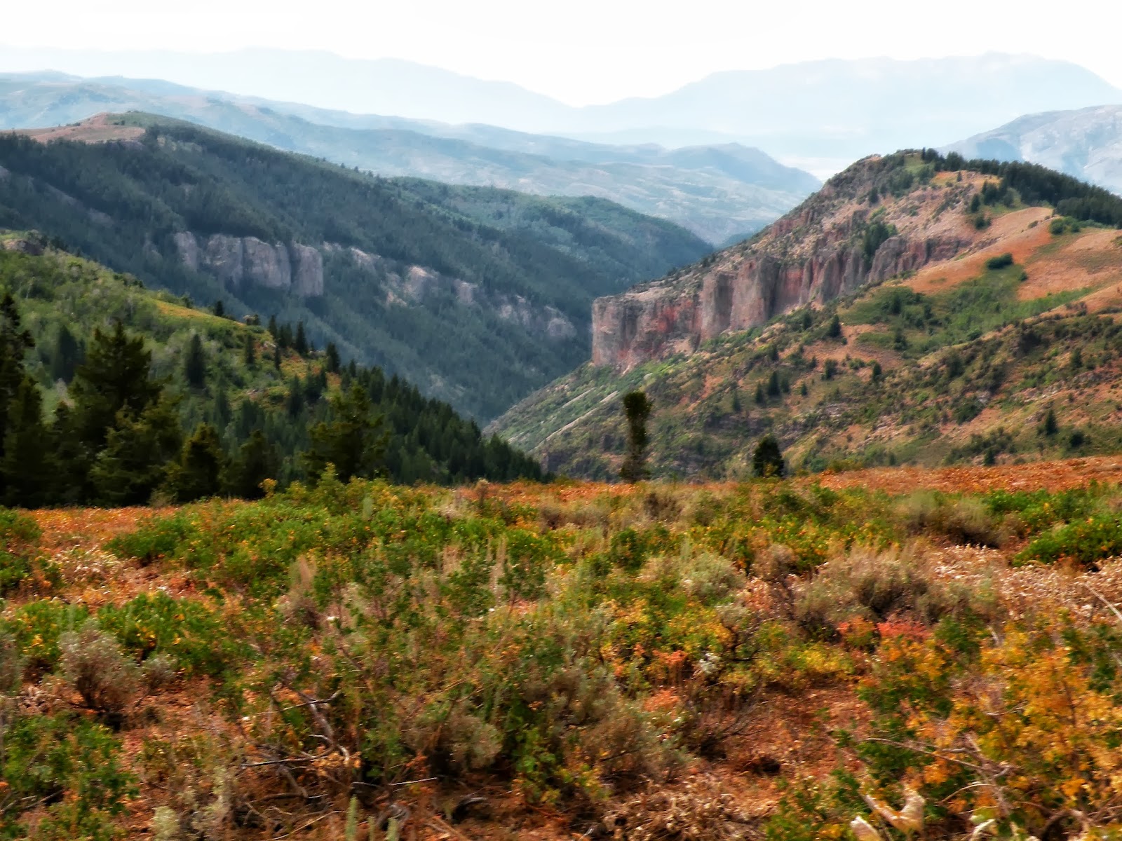 Dream Packer Trail Adventures: Monte Cristo, Utah, Lightning Ridge