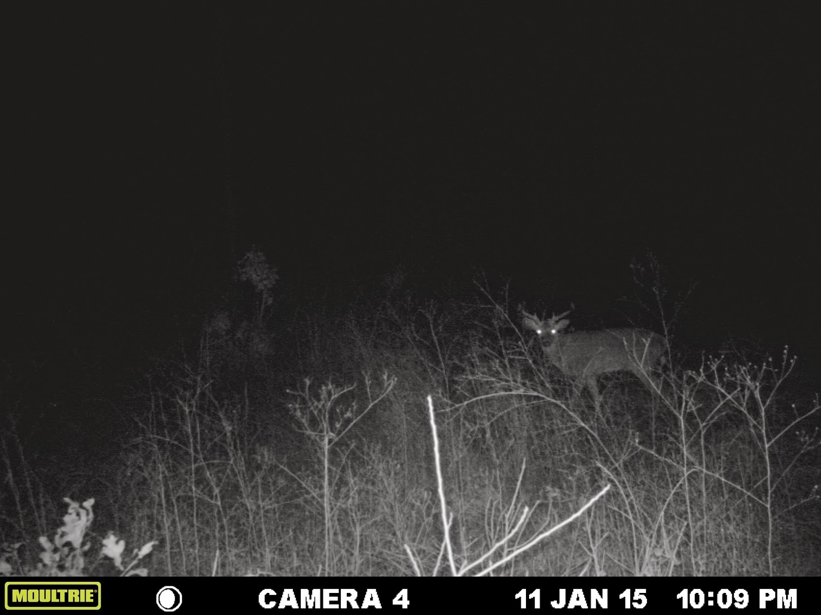 Autauga Creek Hunting Club