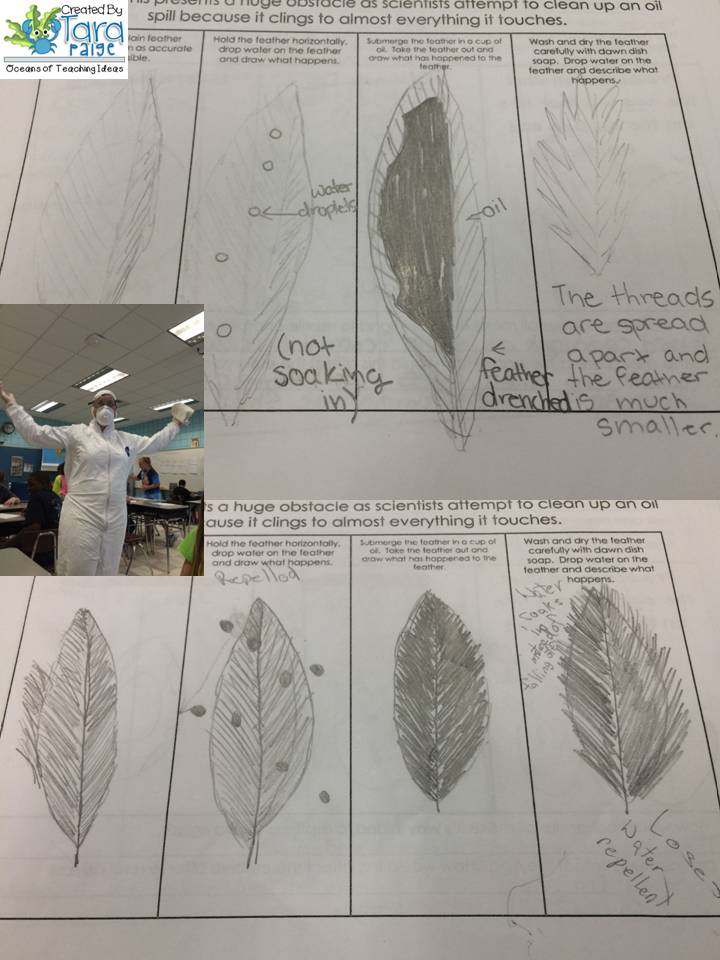 Oceans of Teaching Ideas: Oil Spill Activity