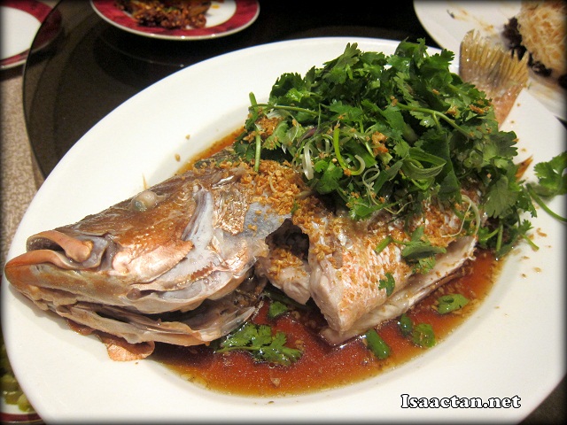 Steamed Red Snapper with Golden Garlic and Superior Soya Sauce