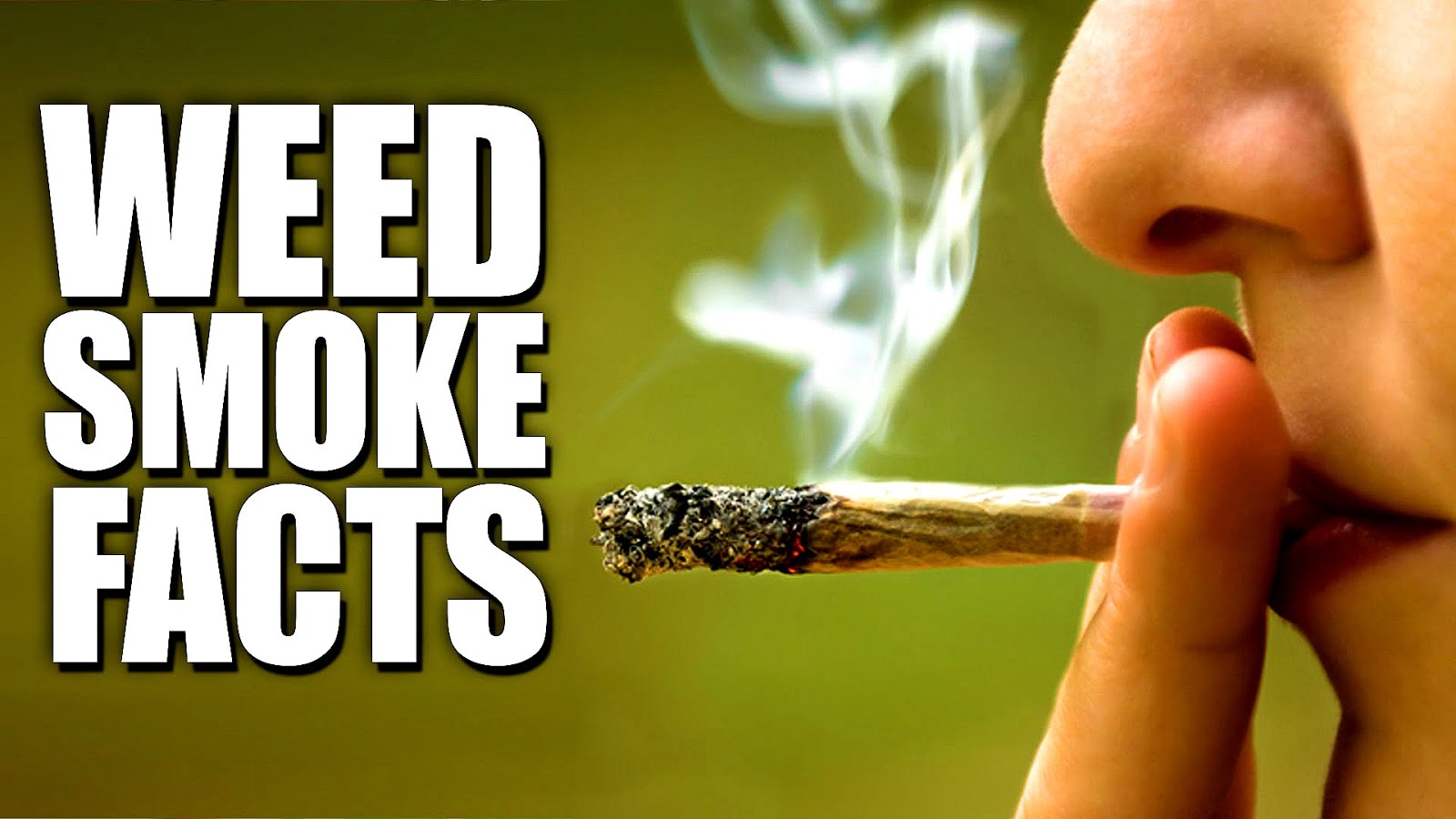 Marijuana Dangerous Side Effects Danger Choices