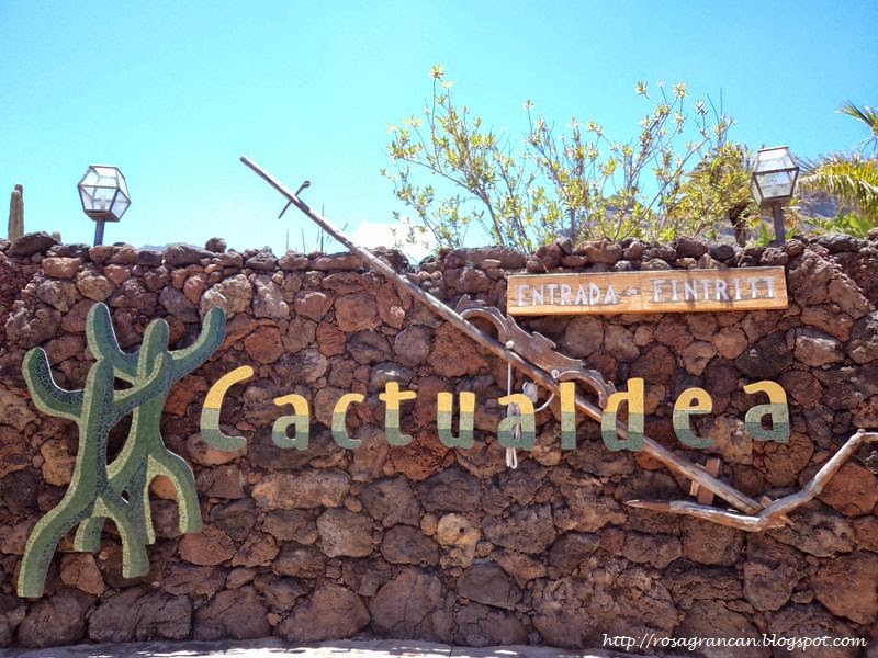 Rosa en Gran Canaria La Aldea de San Nicolás Cactualdea Rosa en Gran Canaria La Aldea de San Nicolás Cactualdea