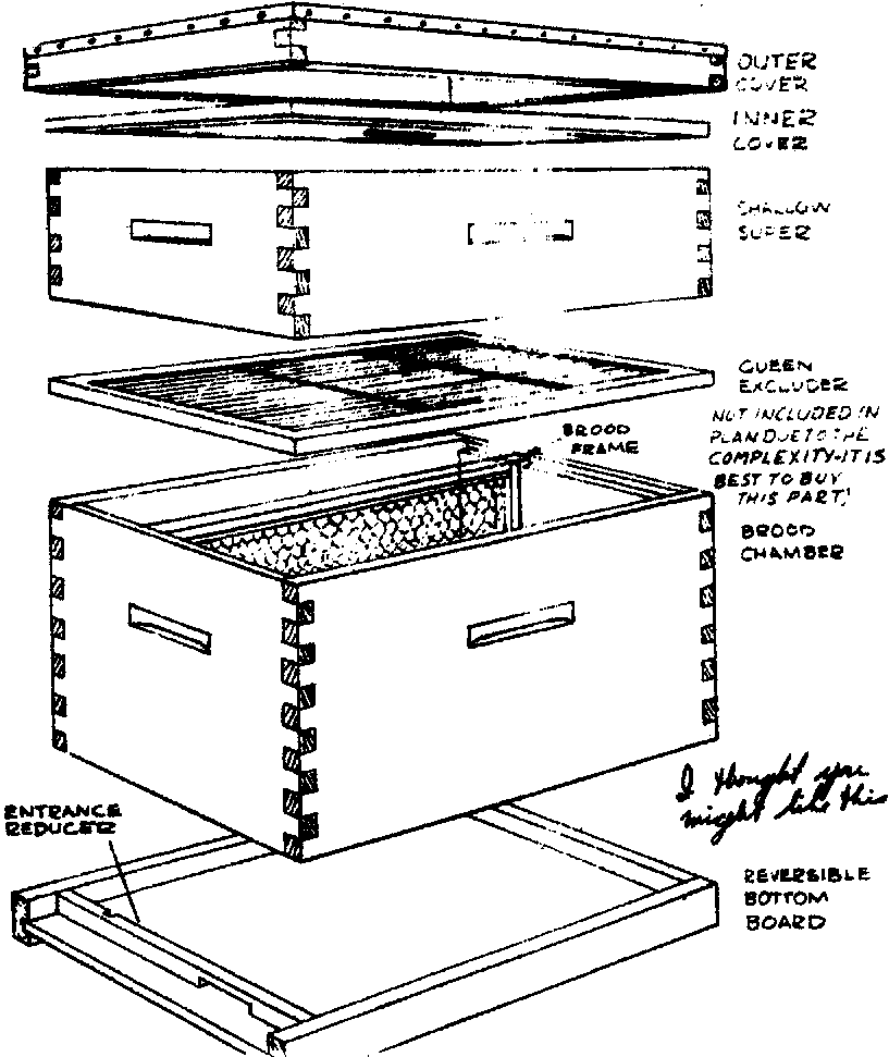 Artisan Farmstead Living: Setting Up a Beehive Part 1