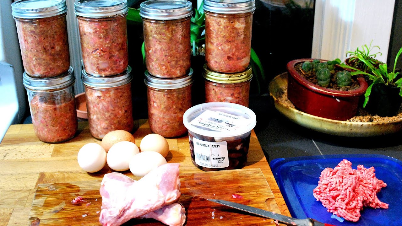 Barf Diet For Cats Cat Choices