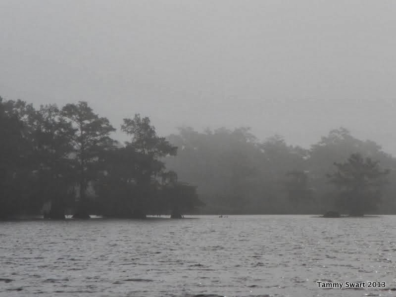Things we did today... The Mermentau River