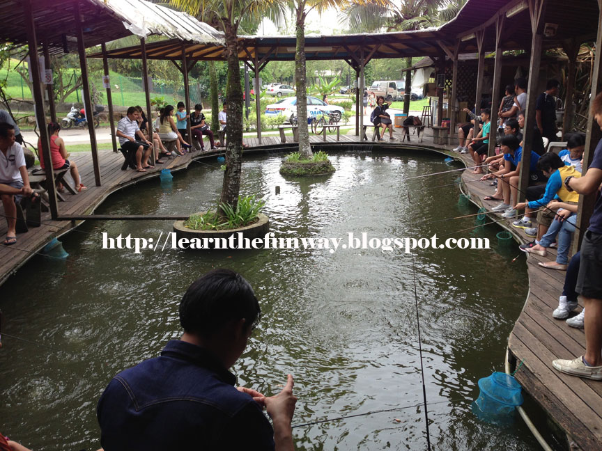 Catching Longkang fish at Bottle Tree Yishun, so much fun! Learn The