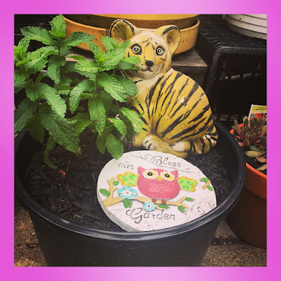 mojito mint container garden plant with fairy garden tchotchke