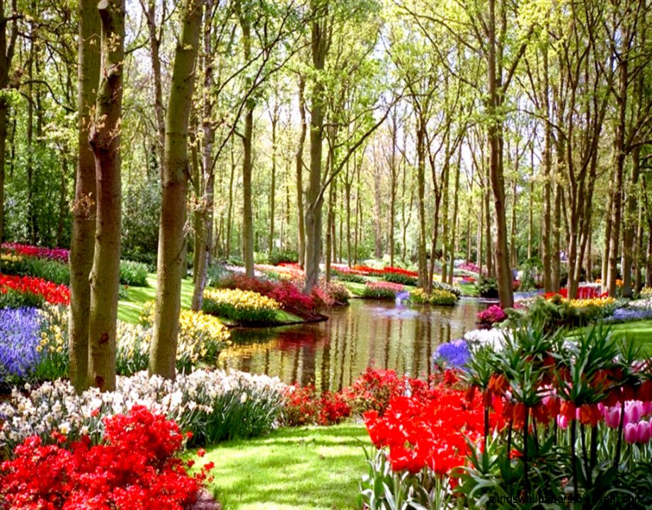 Spring Garden Wallpaper   HD Wallpapers Backgrounds of Your Choice