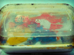 paint palette acrylic keep drying container wood katie