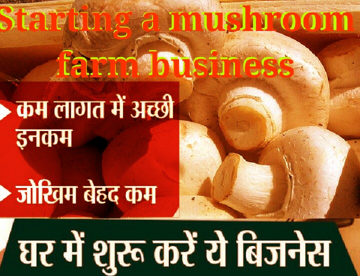 Mushroom Ki Kheti Kaise Shuru Kare, Yearly Ho Sakti Hai 3 Lakh Ki Kamay