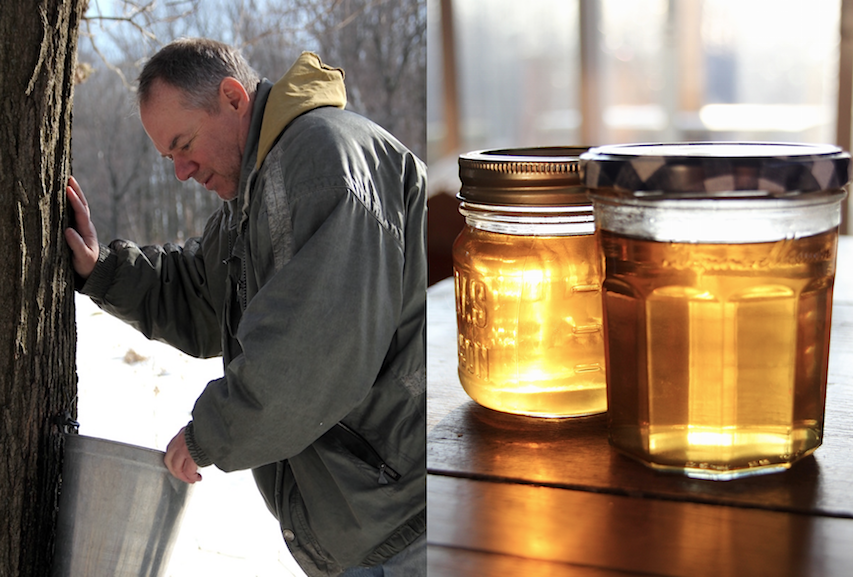 Kitchen by Aubergine Maple Syrup Pie