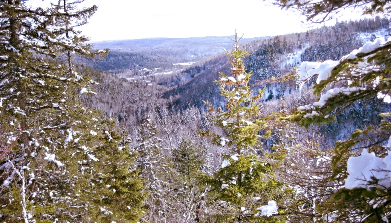 Blog — Hillside Nature Farm Blog — Hillside Nature Farm