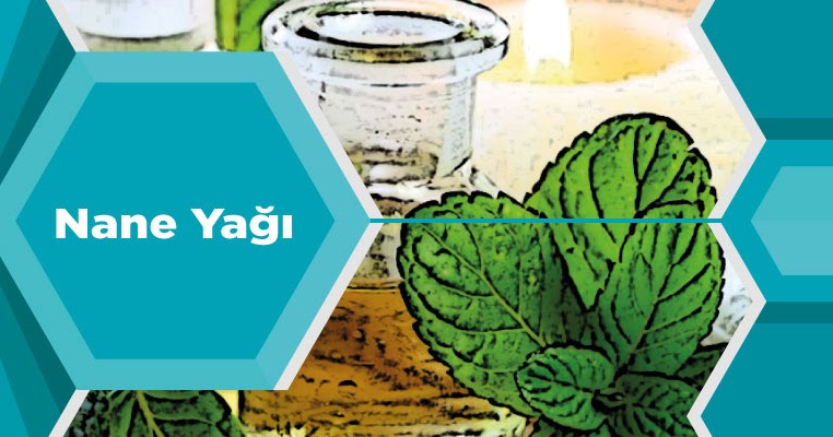 Botaniksan 100 Saf Dogal Taze Soguk Pres Nane Yagi 50 Ml Trendyol