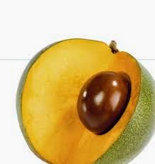 lucuma