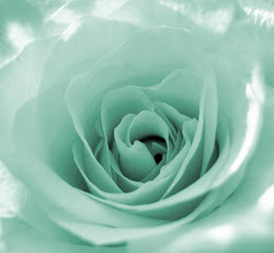 mint rose colour background roses minty flowers colored