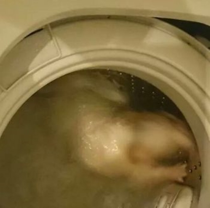 이미지에 대체텍스트 속성이 없습니다; 파일명은 K-006.jpg 입니다.