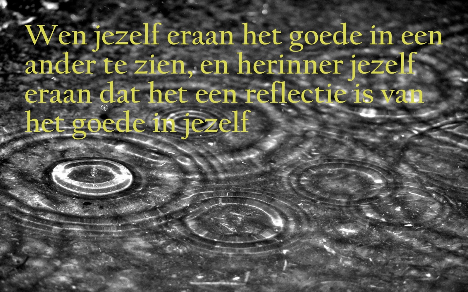 Citaten en Wijze Woorden uit de Islam Zie het goede in Citaten en Wijze Woorden uit de Islam Zie het goede in