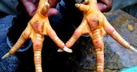 Bangkok Boss Kaki Ayam Unggulan