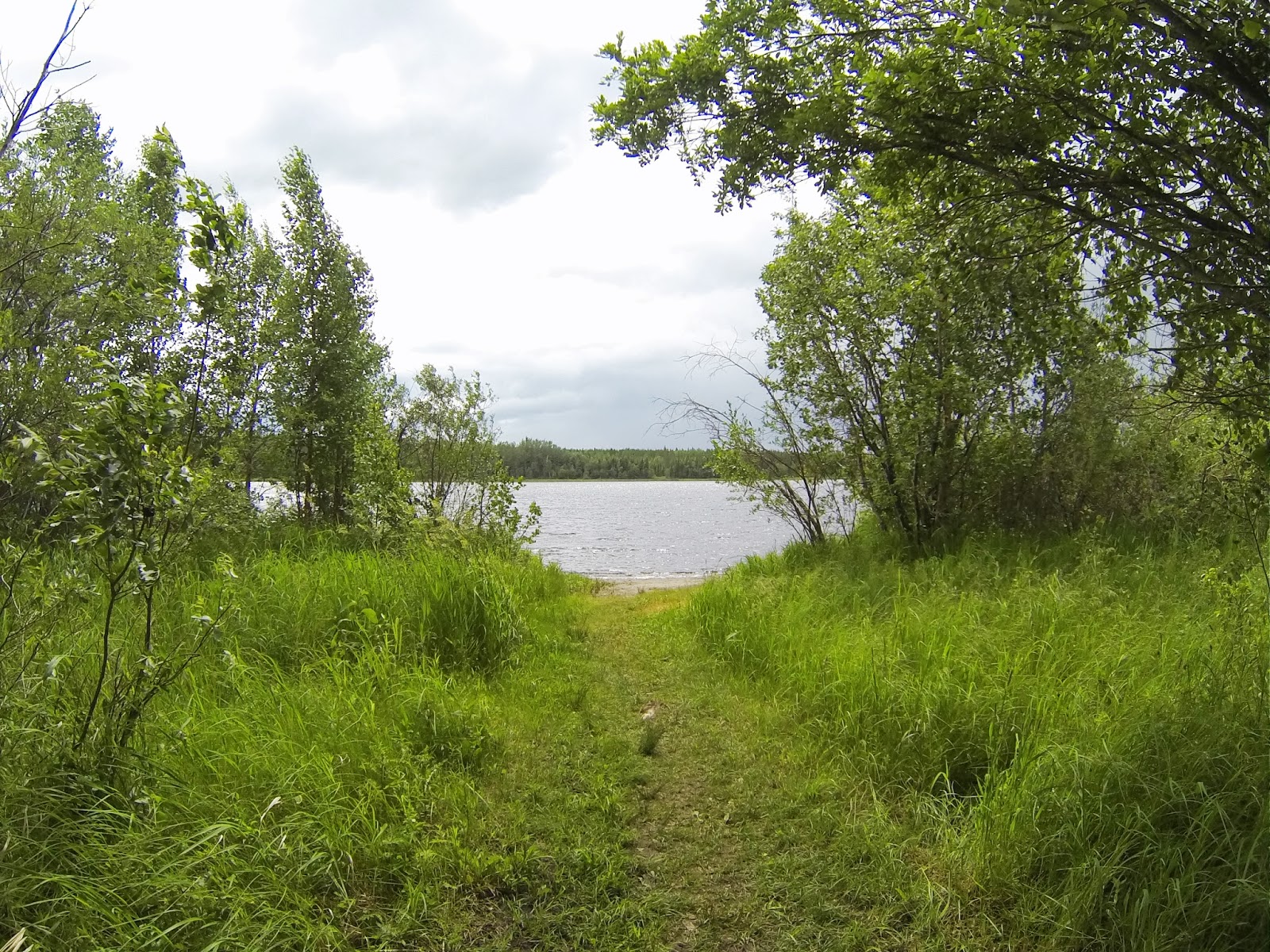 The Chronicles of Stu Camping at Medicine Lake