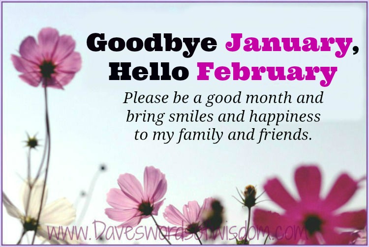 Image result for goodbye january
