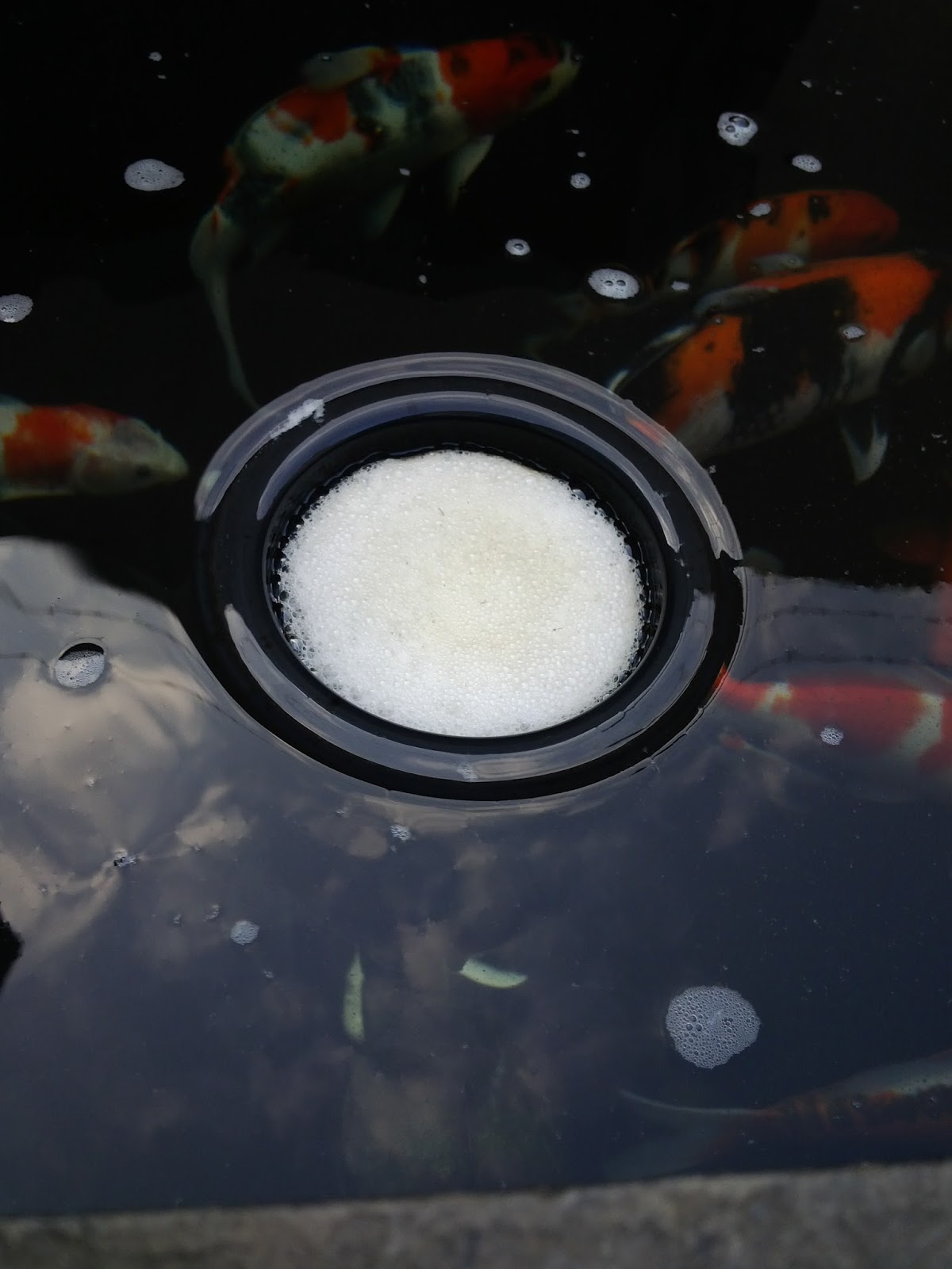 Anoxic Filtration System An update on Yogas’s pond in Indonesia and