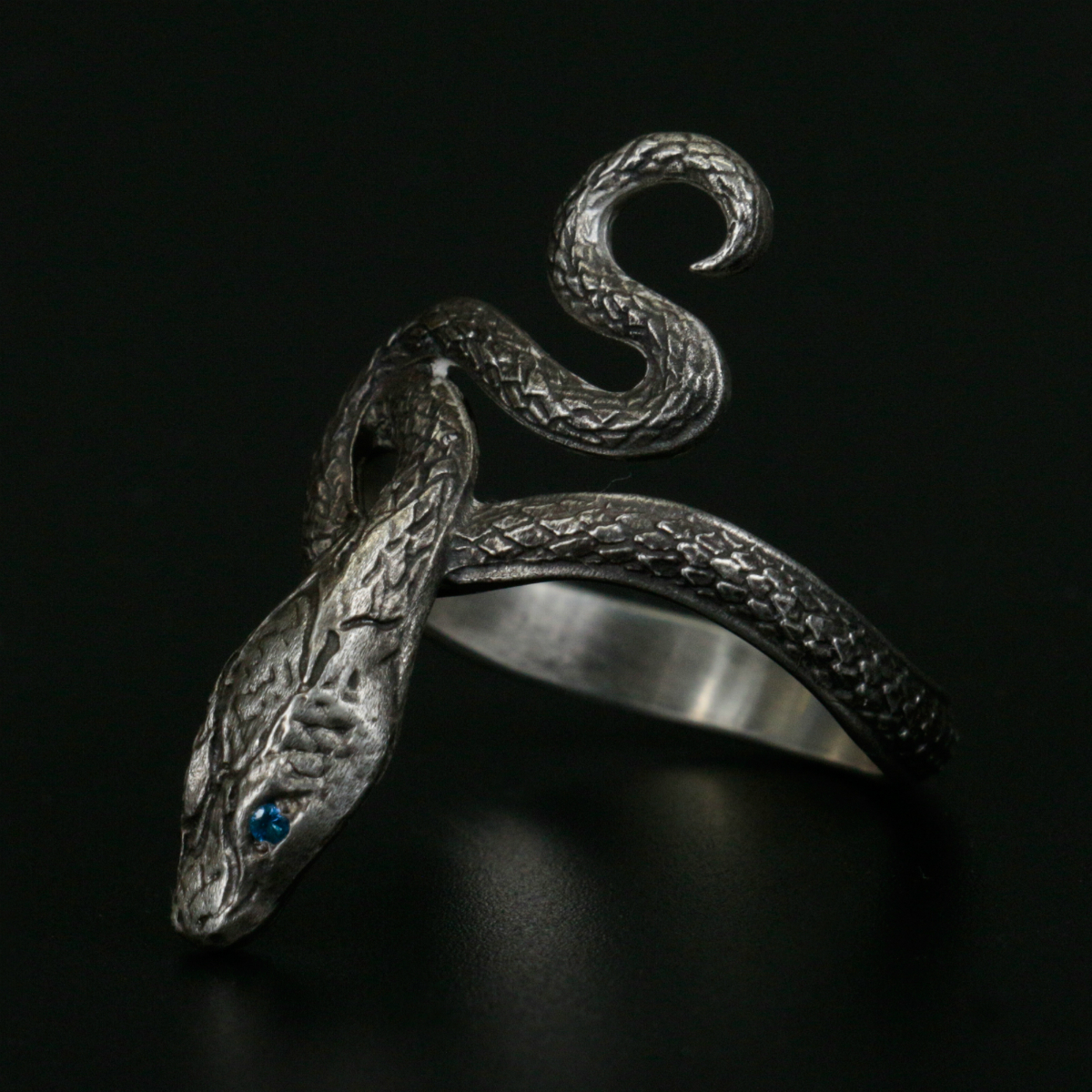 Torch Torch Blog ダークソウル リングコレクション 貪欲な銀の蛇の指輪について