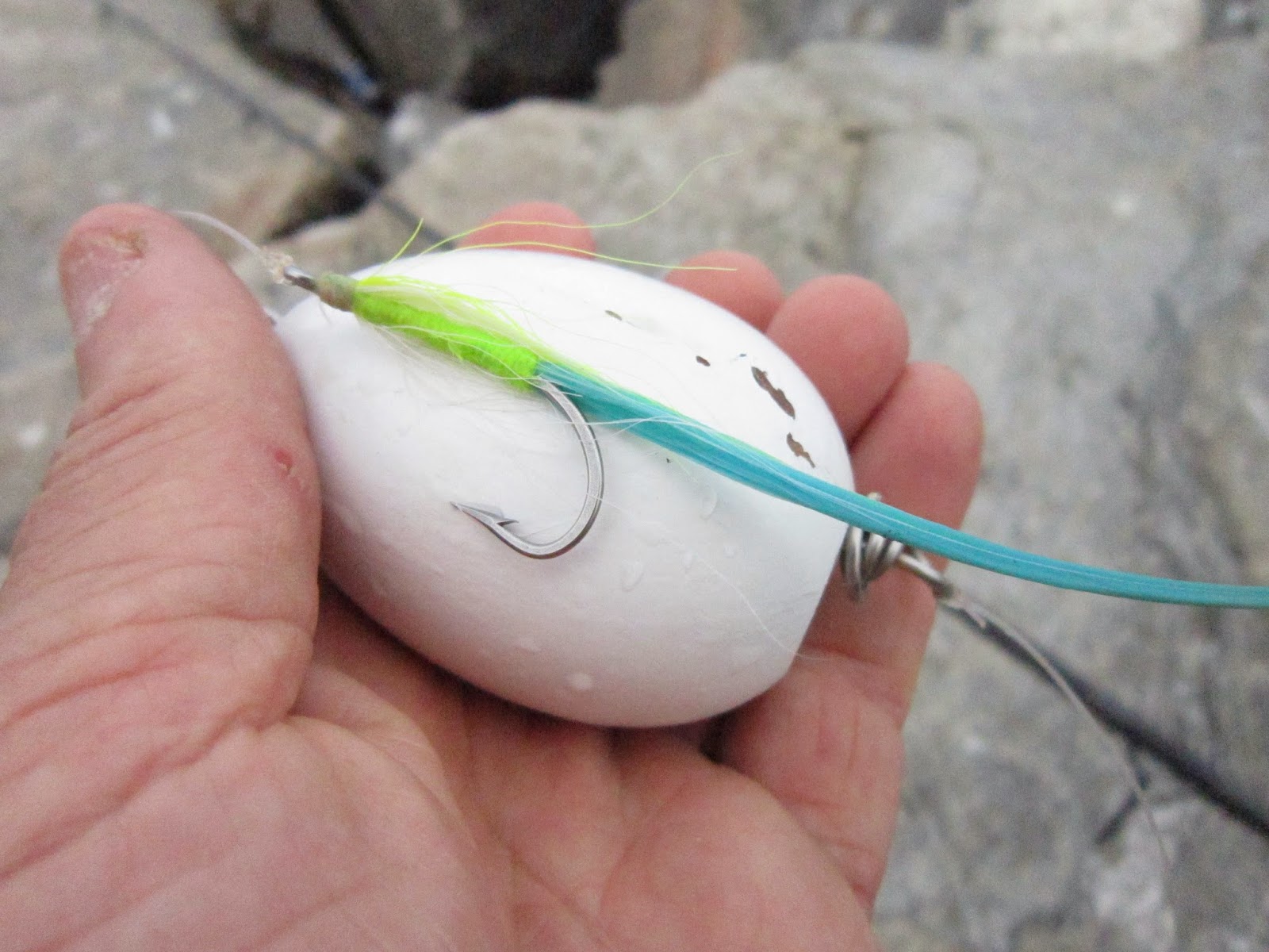 Rhode Island Striped Bass Float 'n' Fly......Albie Killer