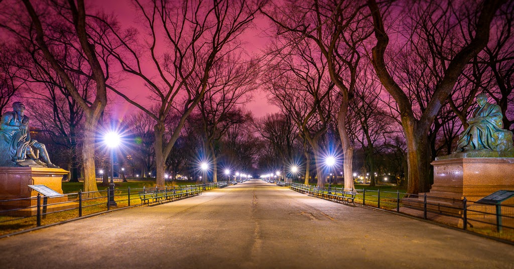 Central Park At Night Wallpaper