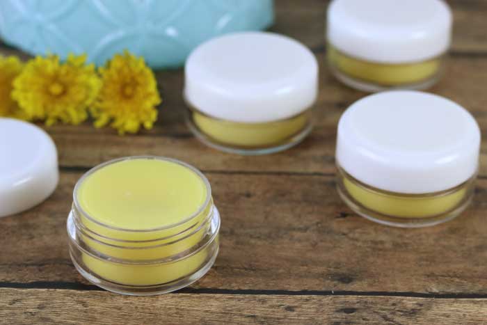 How to make DIY dandelion lip balm.  Use dandelion infused oil for the best homemade lip balm recipe.  This lip balm recipe has shea butter and beeswax to moisturize dry lips.  Home made lip balm with just three ingredients.  Make a natural lip balm recipe for dry or chapped lips.  Natural lip balm without yucky ingredients.  #lipbalm #dandelion