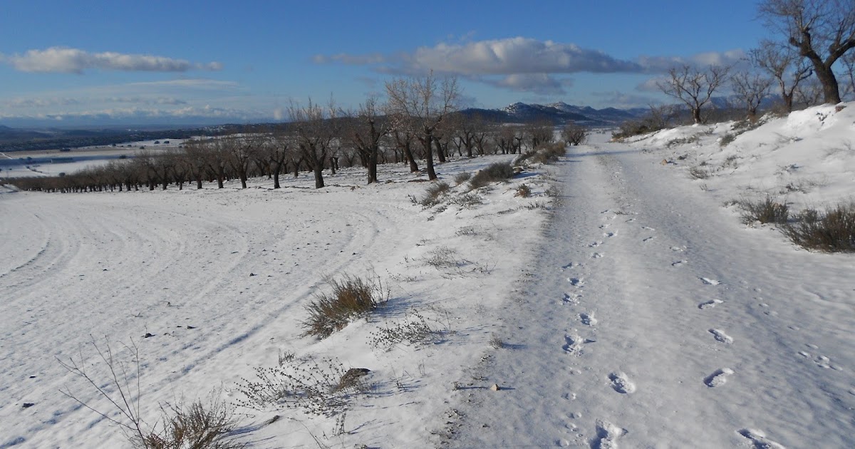 Rutas y Senderos Prodigiosos Macizo de Revolcadores_Pico 0bispo 25/02/13