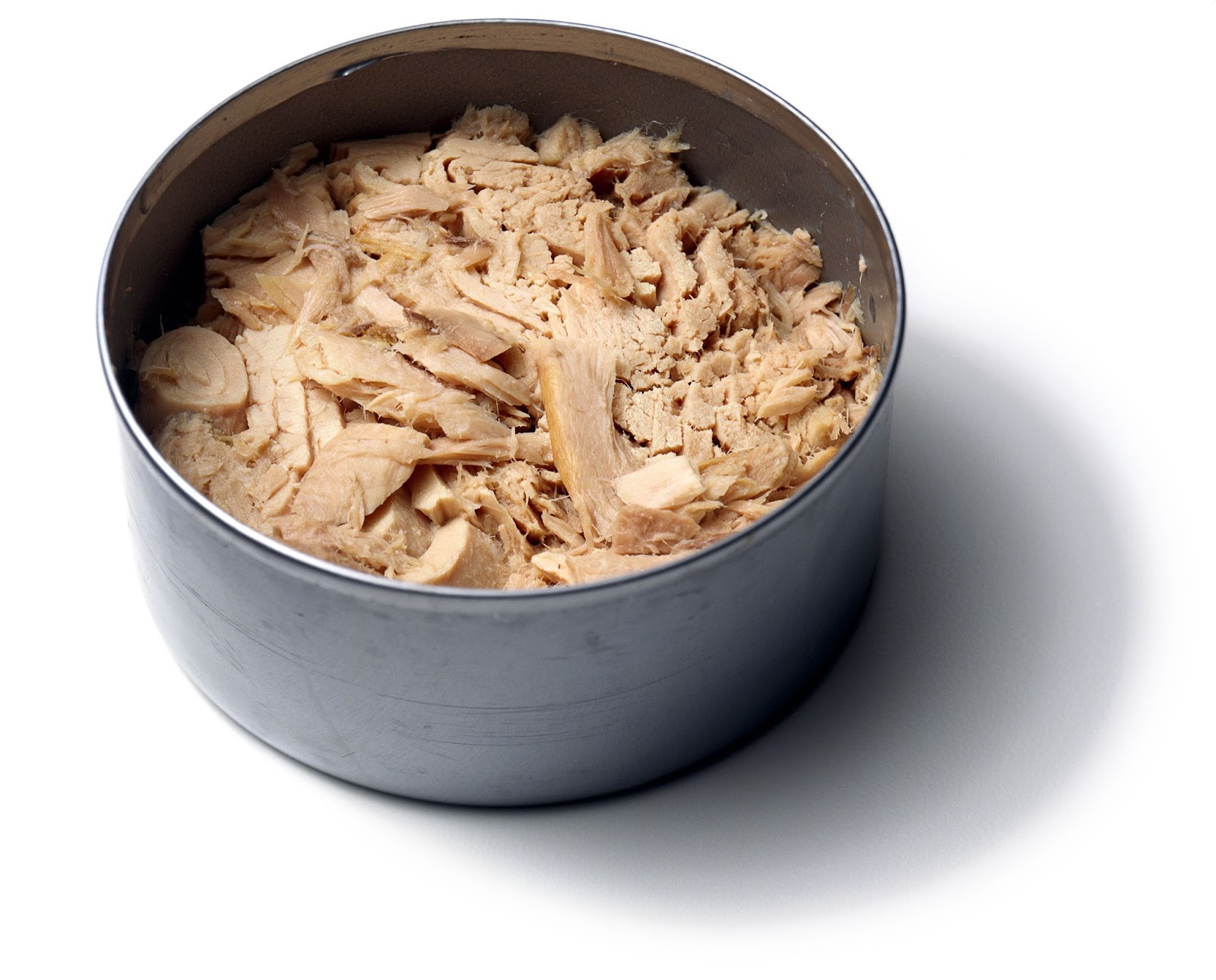 Tuna fishspecies for Indonesia canned tuna product
