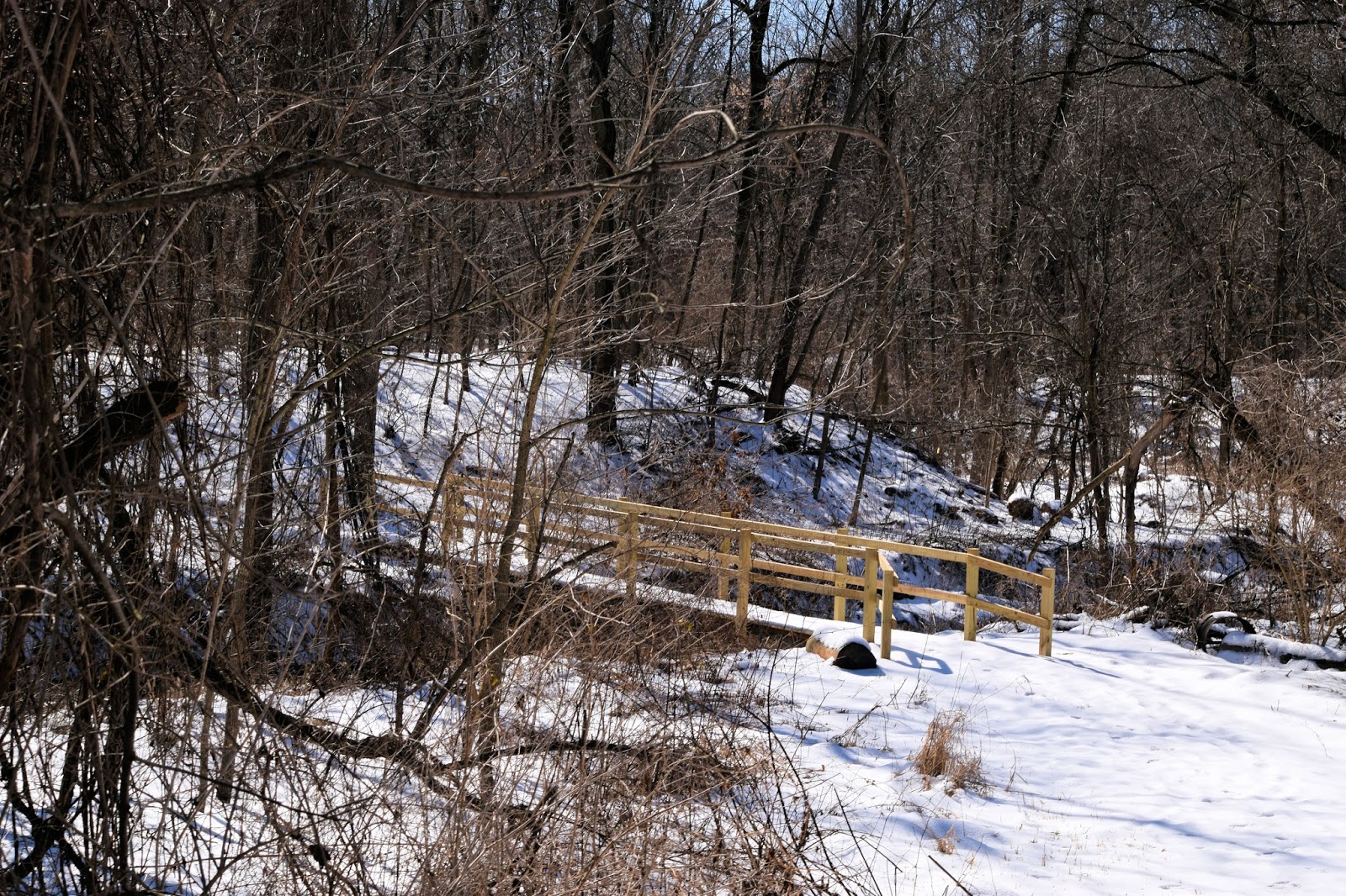 Valley Girl Views The Canal Path In Watsontown PA