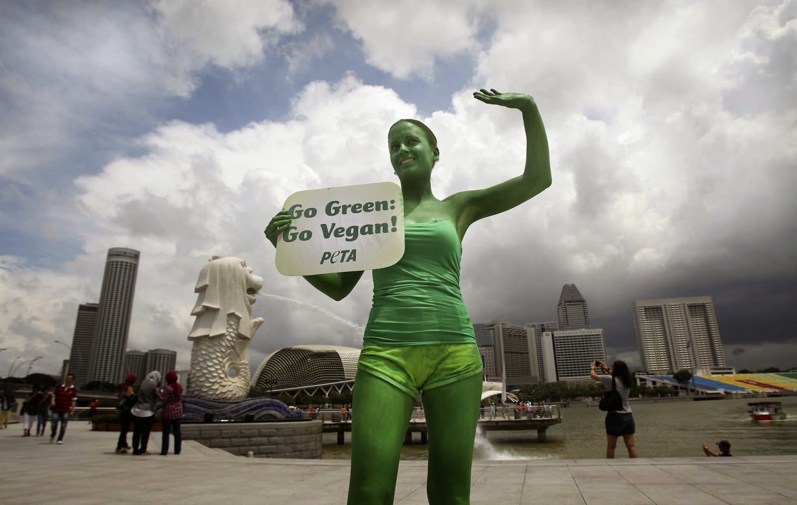 vegani sono idioti vegani ortodossi