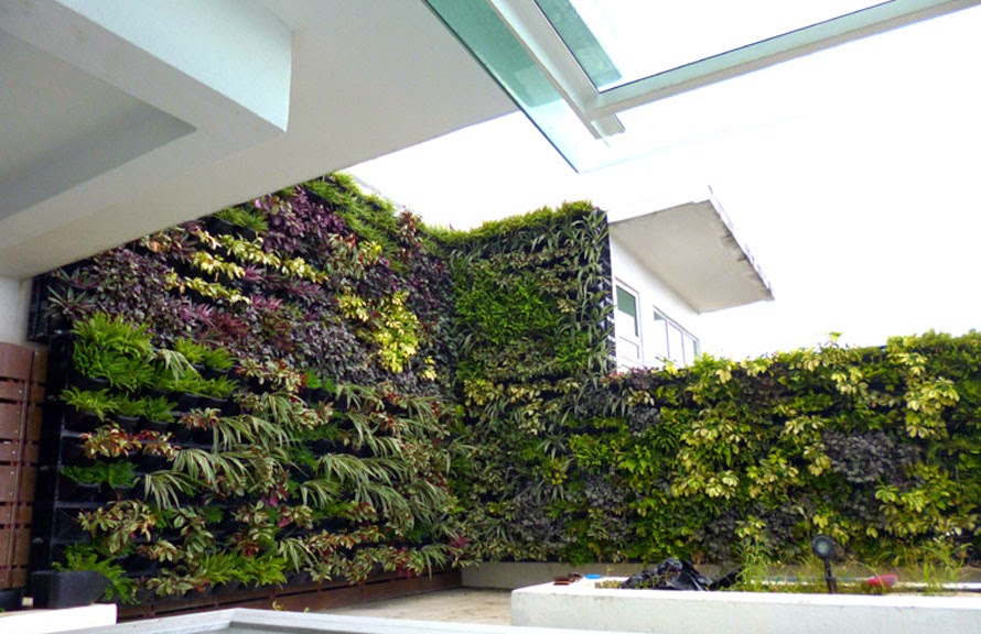 Vertical Garden Concept for Buildings: Greenwall Vertical Garden System