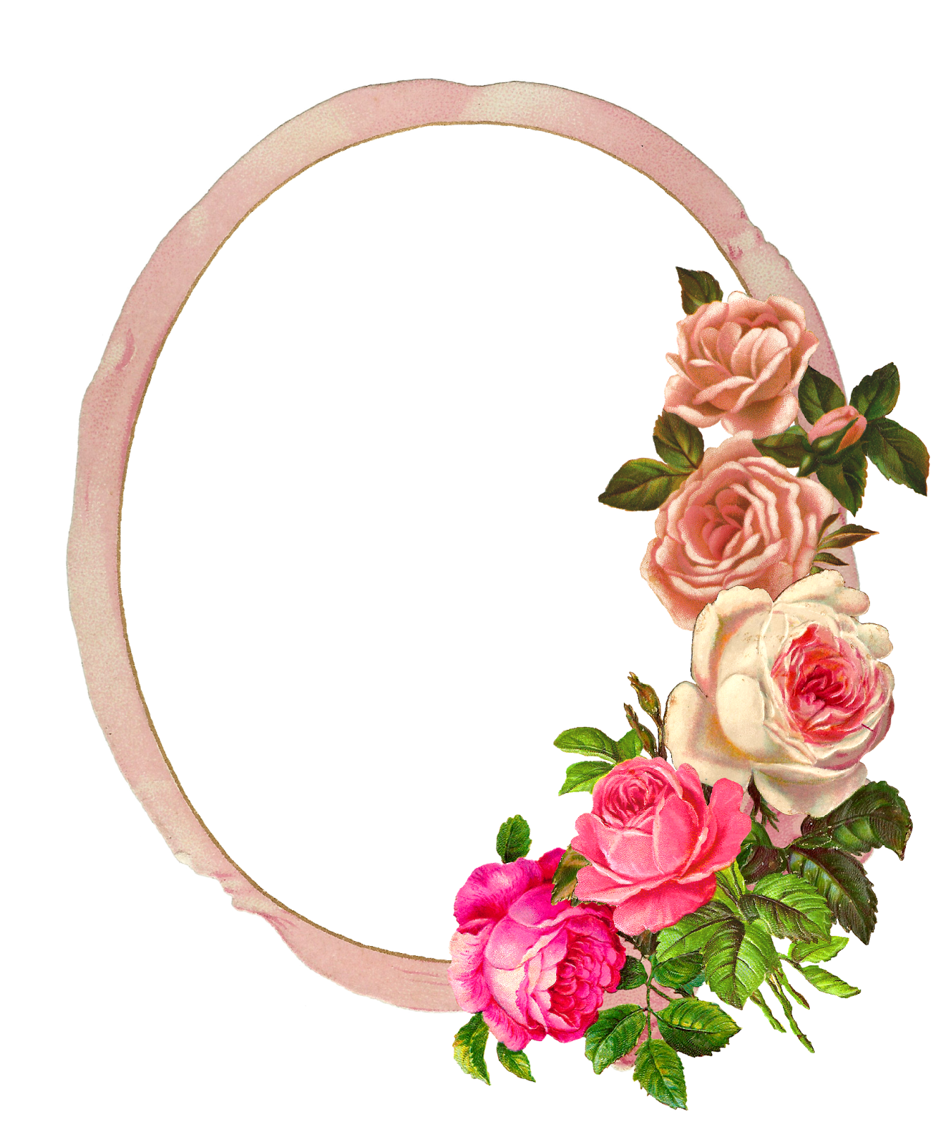 Pink Flower Frame PNG