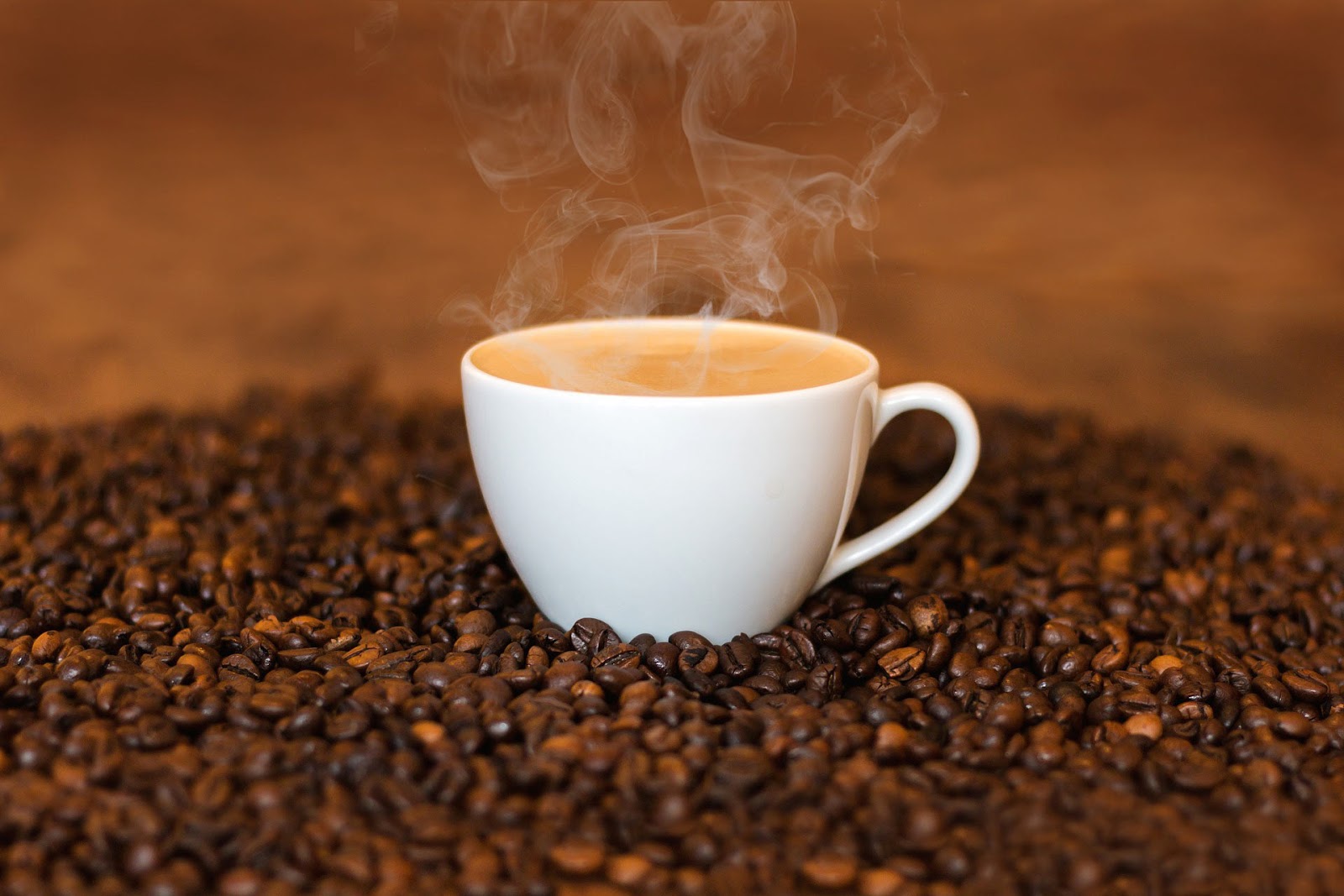 Fakta Menarik Tentang Kafein - Pecinta Kopi Kopi Wajib Tahu