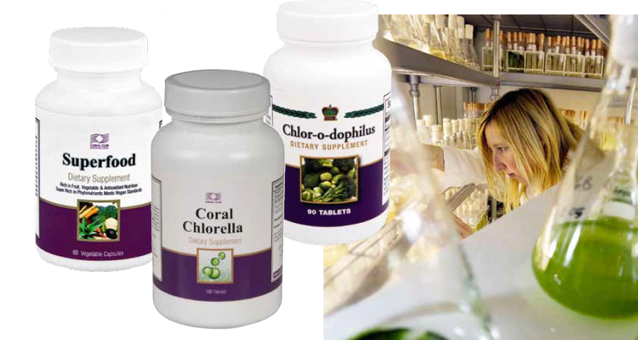http://3.bp.blogspot.com/-ye62BOwDc5w/VCRa0suW1vI/AAAAAAAAARc/J_5Z85PqALU/s1600/Chlorella.png