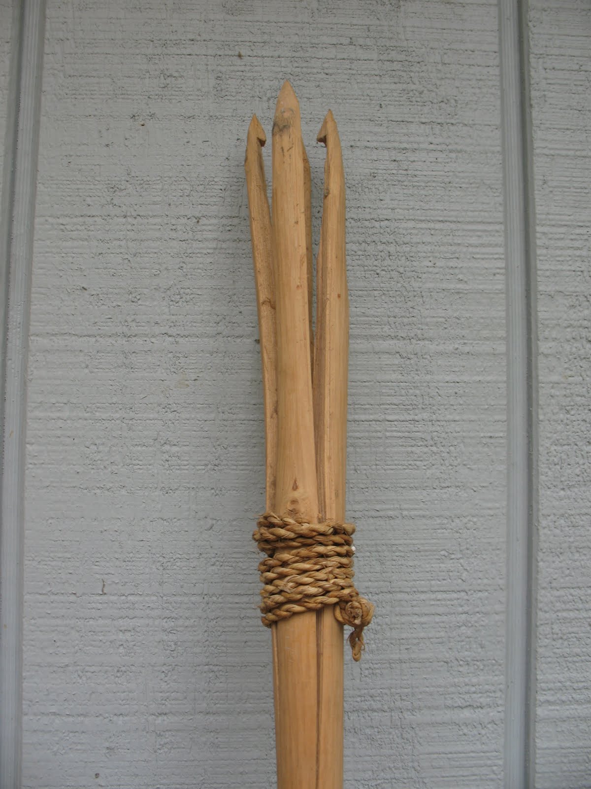 Sensible Survival Fishing with Spears