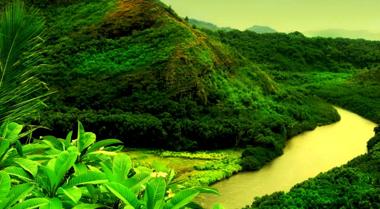 Green Mountain Trees River   1366x768 iWallHD   Wallpaper HD