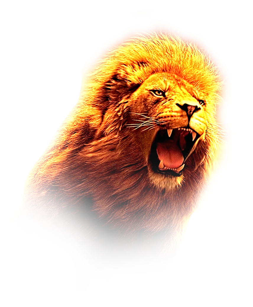 lion-hd-png-image-mutharaiyar-network