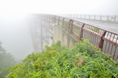 不動沢橋も霧