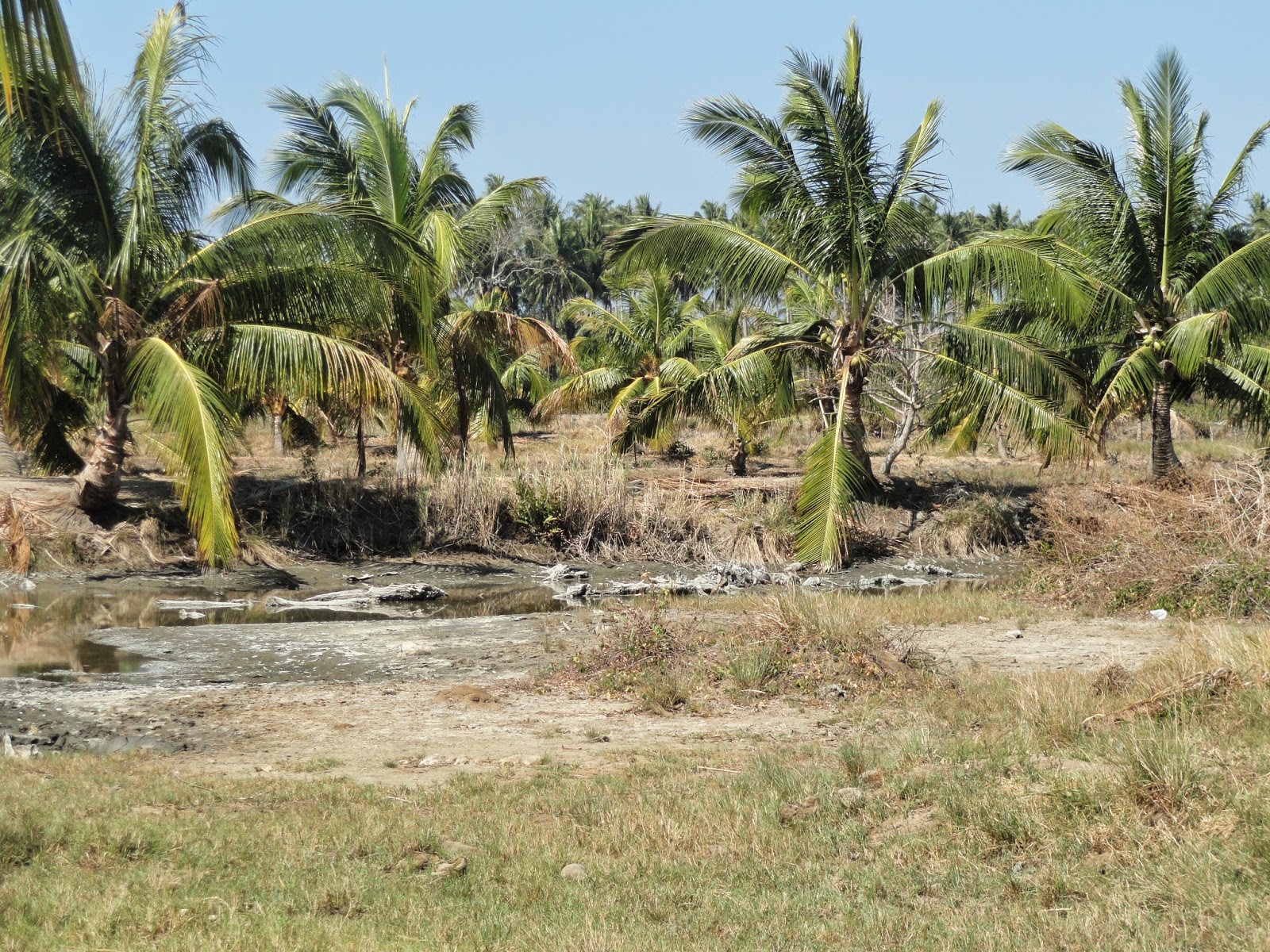 Zamboanga del Sur Properties FOR SALE 13 HECTARES FISHPOND AT TUKURAN